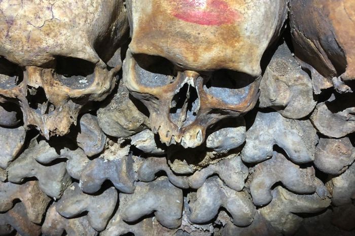 Catacombs of Paris Skip the Line Tour